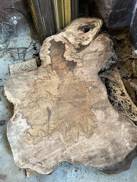 blat masute, rondele lemn