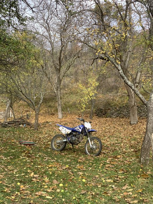 Yamaha ttr 124 cc