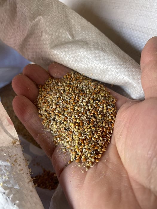 Корм для птиц