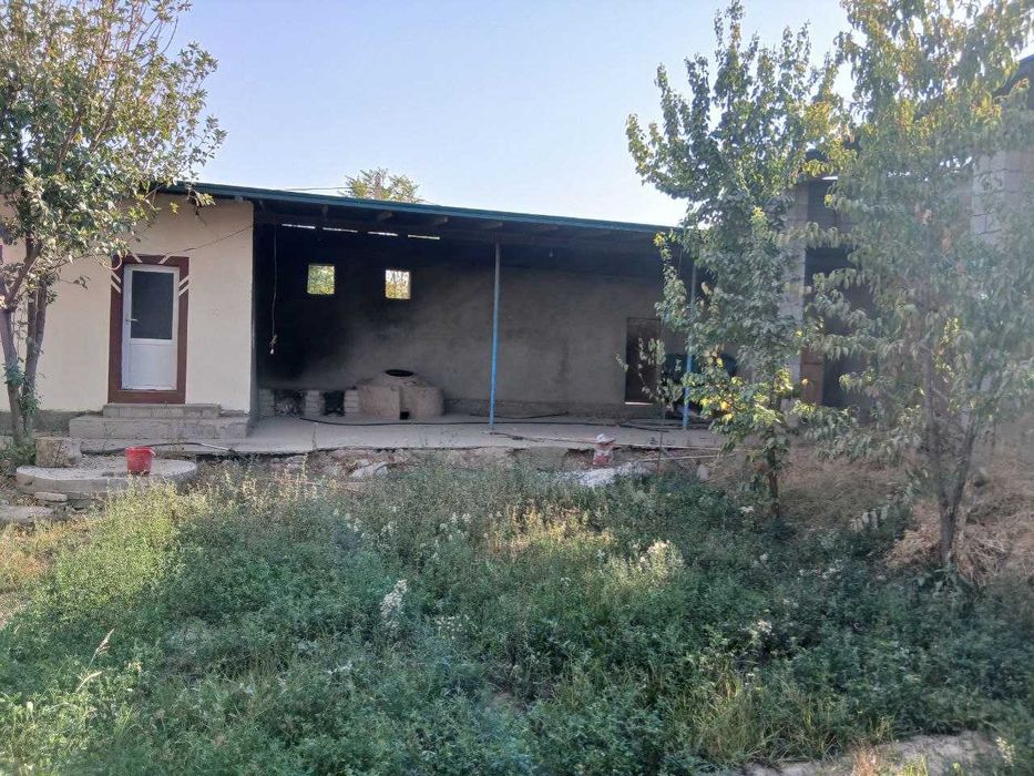 Surxondaryo termiz tuma sabzipoya termiz tuman