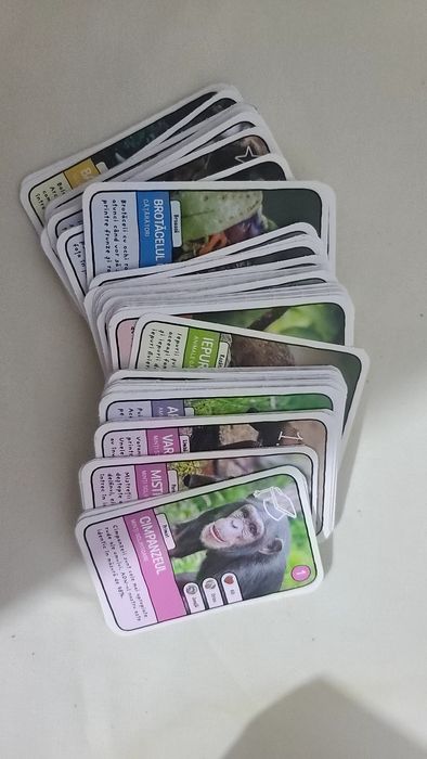 Pachet: Album + Boxa Zoo 2 sau Zoo 1 + set 96 Expeditie in jurul lumii