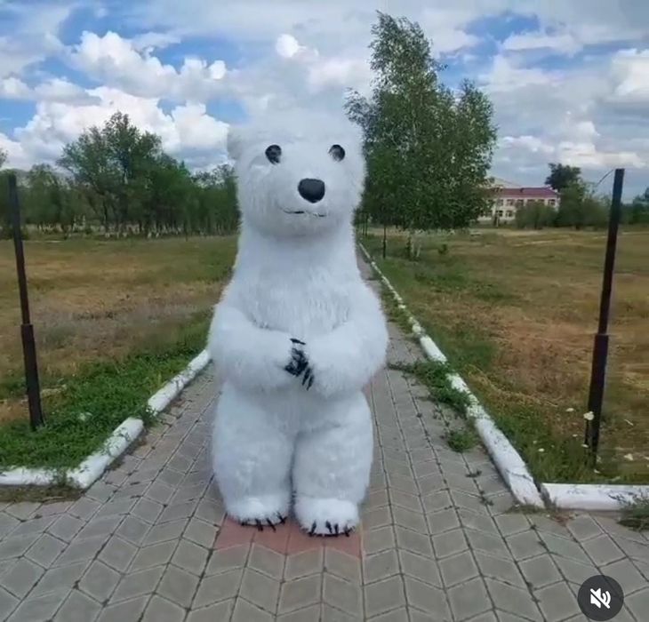 Продам ростового медведя