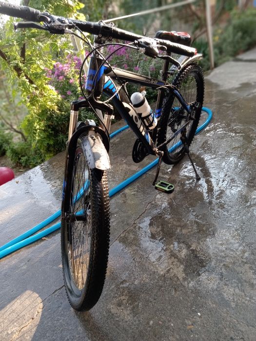 Velosaped Adil xolati ideal xamma joyi ishladi