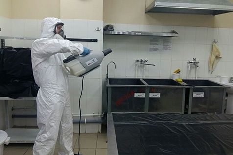 дезинсекция дератизация все насекомые и грызуны