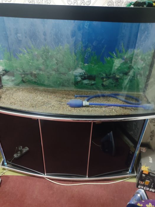 Akvorum holati yahshi 250letr