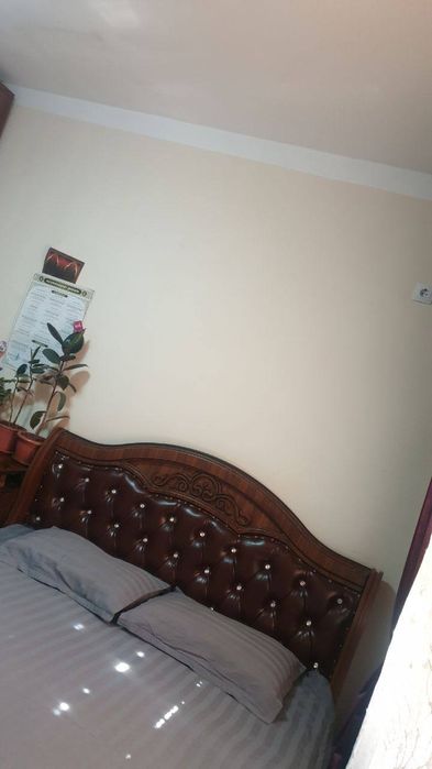 Sergli 9 xudud arentir 66 palkninka