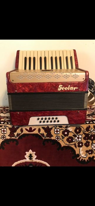 Acordeon Timiș Școlar