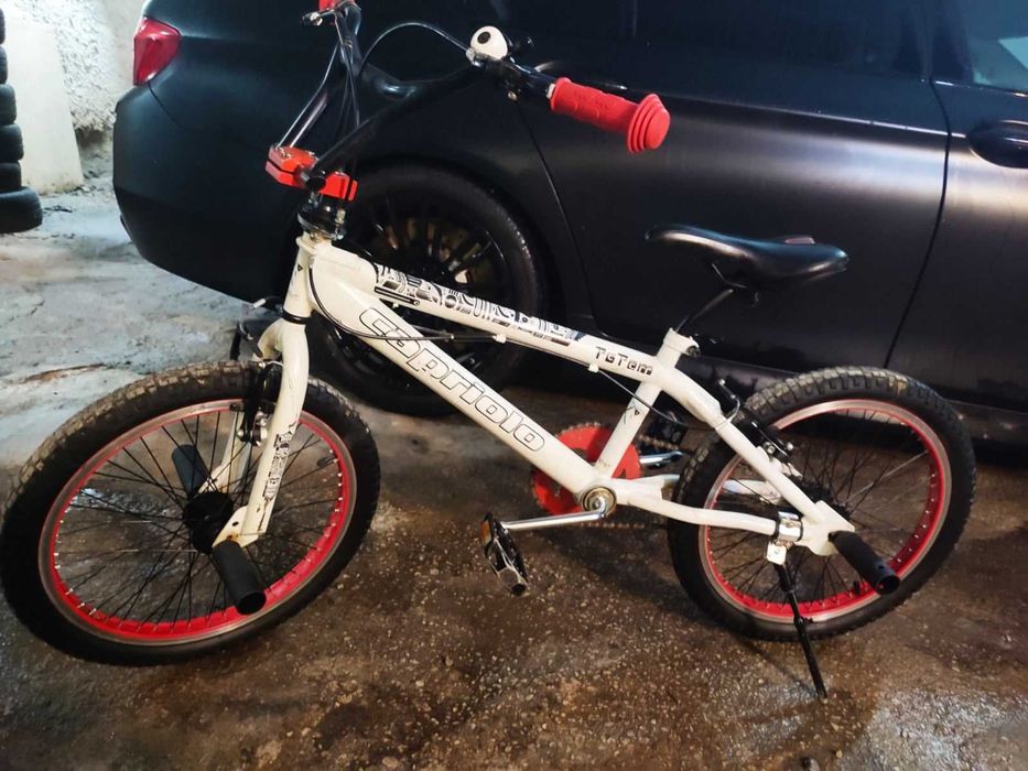 BMX Capriolo Totem.
