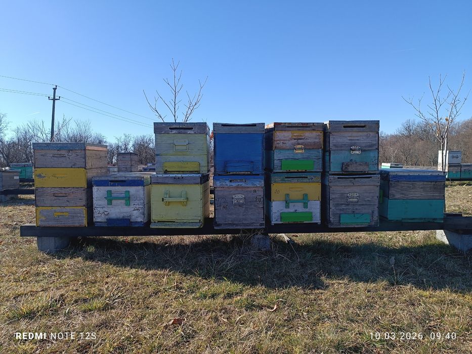 Albine , camion apicol mercedes,cutii stupi ,inventar apicol,caturi,