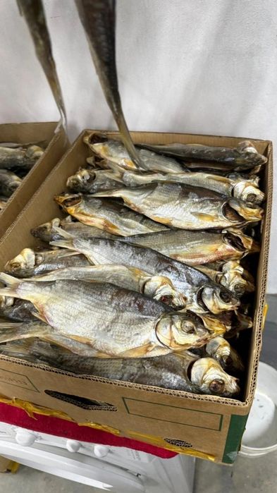 рыбец балыгы сатылады