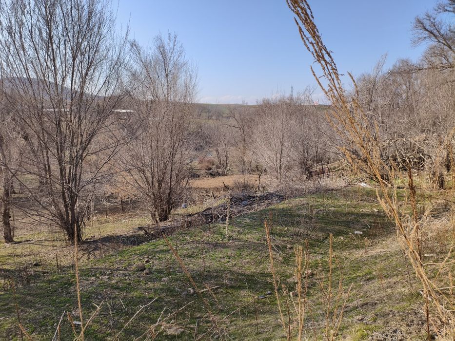 Продаётся частный дом 25 соток.