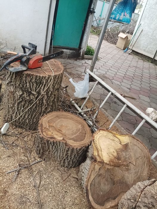 Чурки ореха свежесрезанные