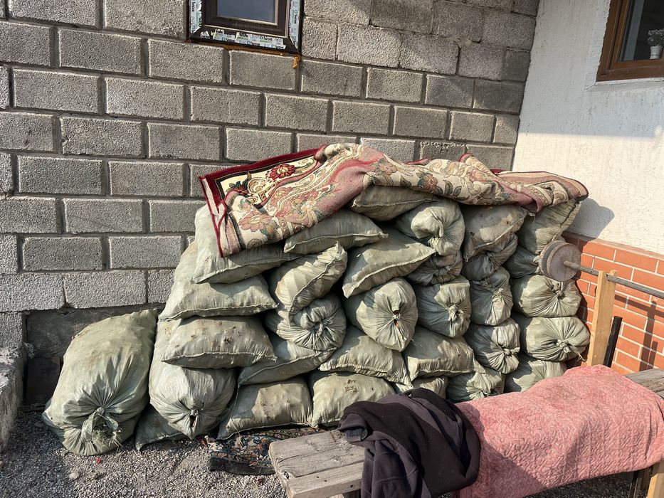 продам кормовой морковь