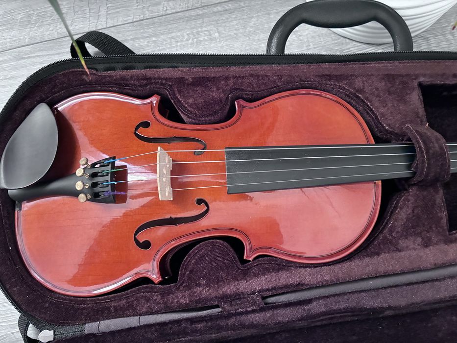 Vioara 1/2  maro