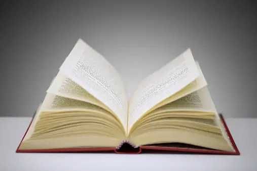 Meditații limba română