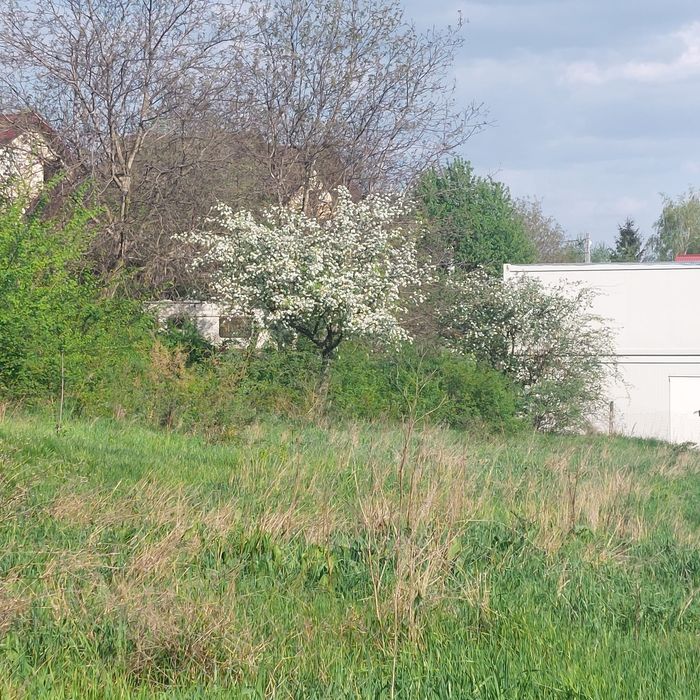 Teren zona Galata Aleea Strugurilor