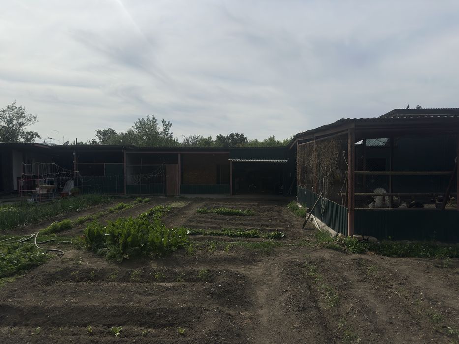 Срочно Продам дом!