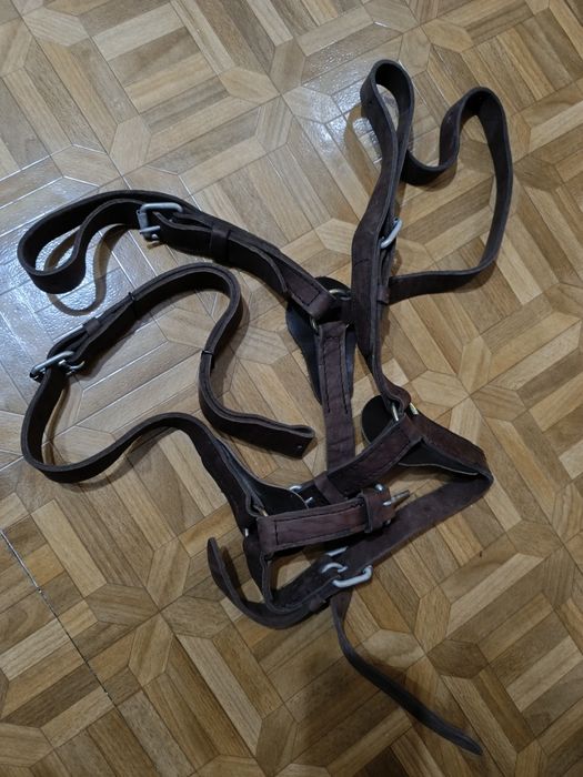 Надгрудник для лошади