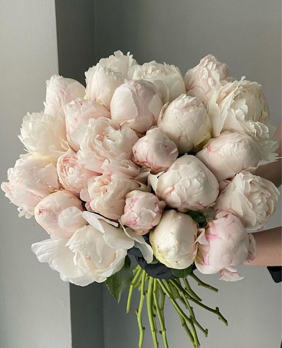 Пионы Астана цветы букеты