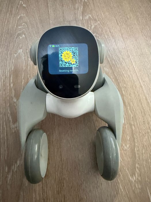 Robot loona pet