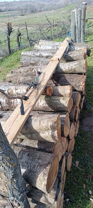 Дърва за огрев от Синя слива