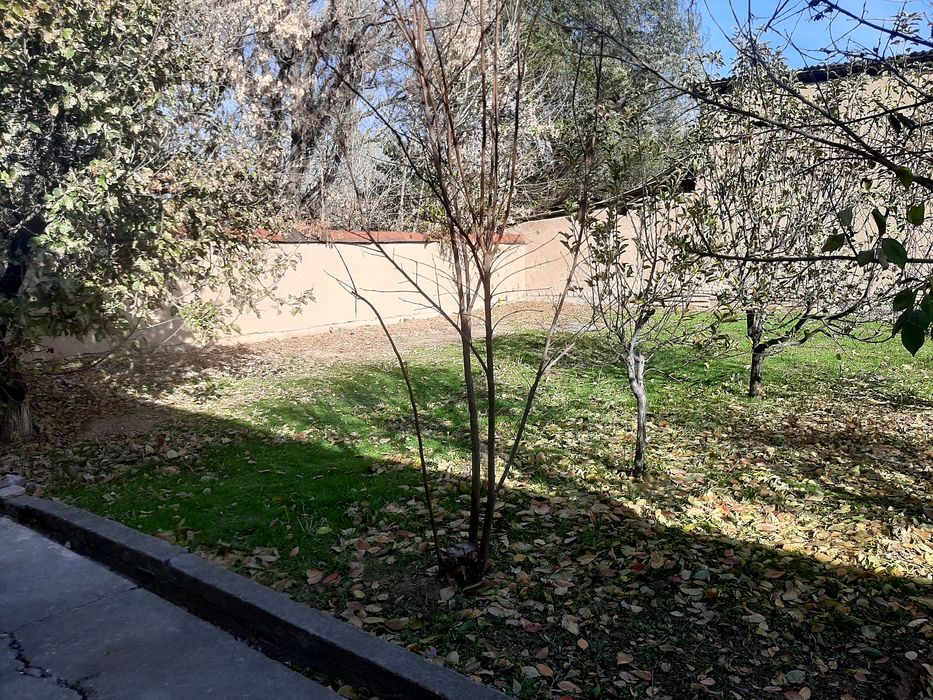 Madaniyatda 3 sotix yer sotiladi