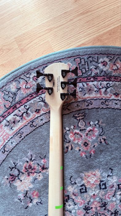 Chitara bass spector performer 5