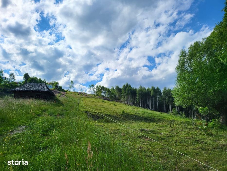 Teren 3 ha Moieciu de Jos | Drumul Carului I Panoramă | Utilitati
