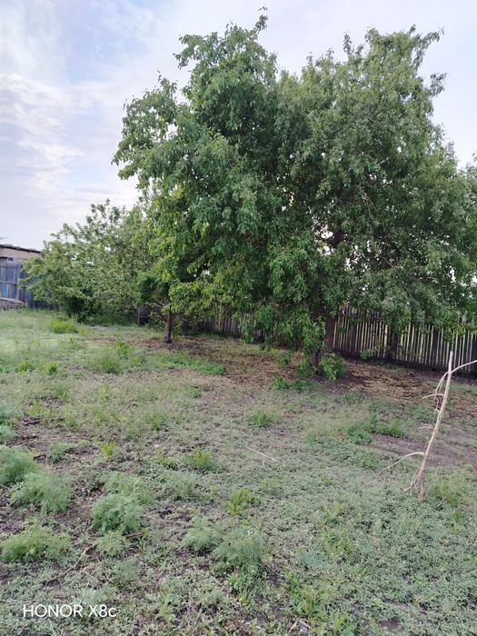 Продам дачный участок.