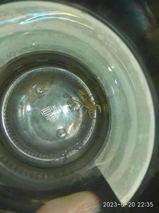 Продам живого скорпиона