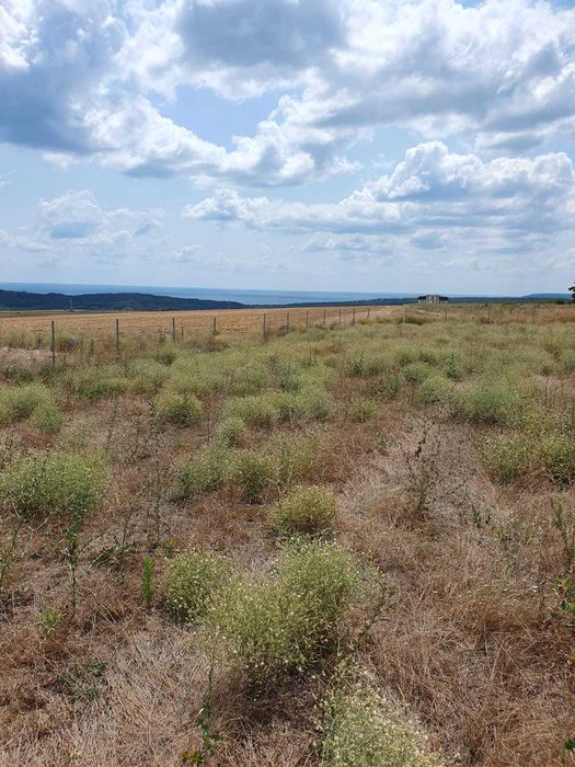 Продава се Парцел в с. Близнаци, Област Варна - 2428 кв.м за 25 €/кв.м - Снимка #3