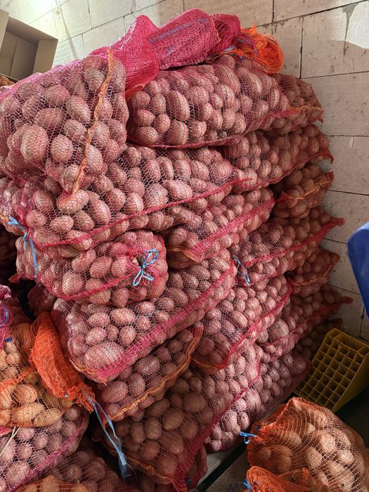 Cartofi de consum alb si rosu