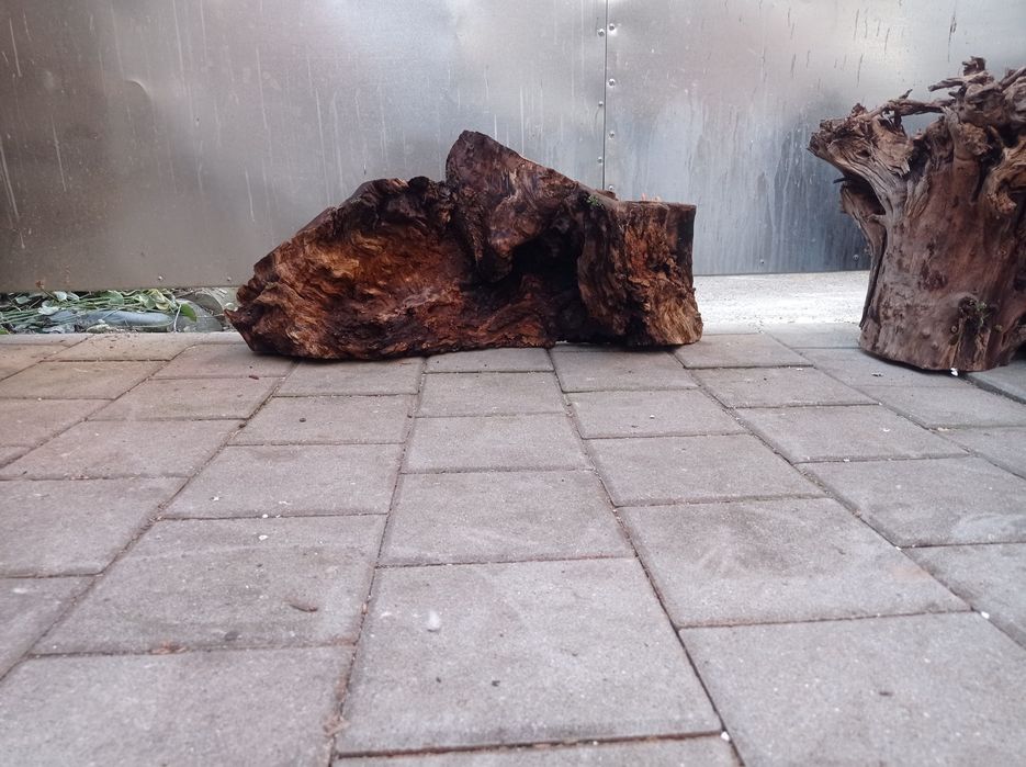 Driftwood, piese mari stejar. Decor acvariu bec acvariu t5juwe400 litr