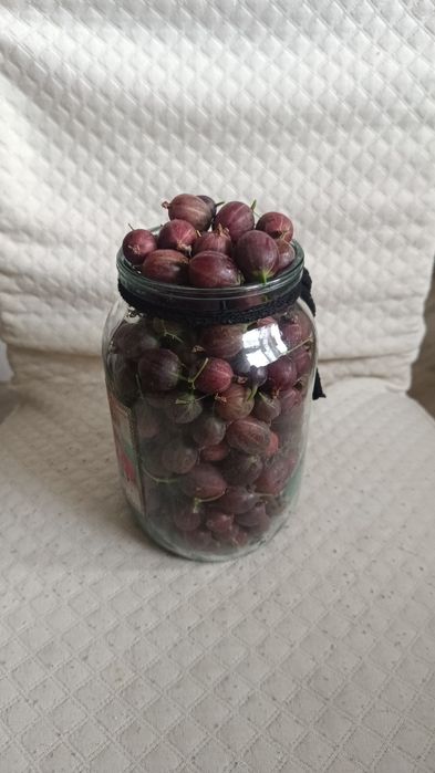 Продам крыжовник
