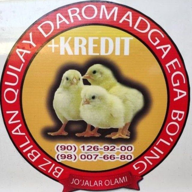 Filmimizdan jinsiy aloqa sahnalari