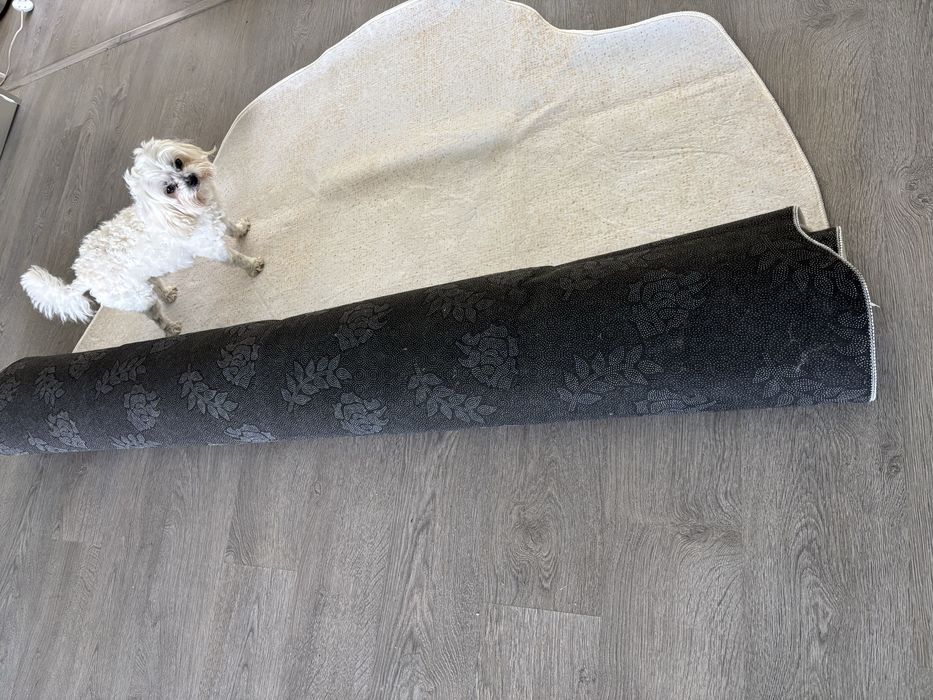Covor living 200 x 300 cm