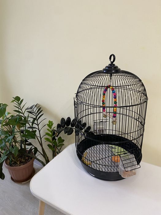 Клетка для попугаев