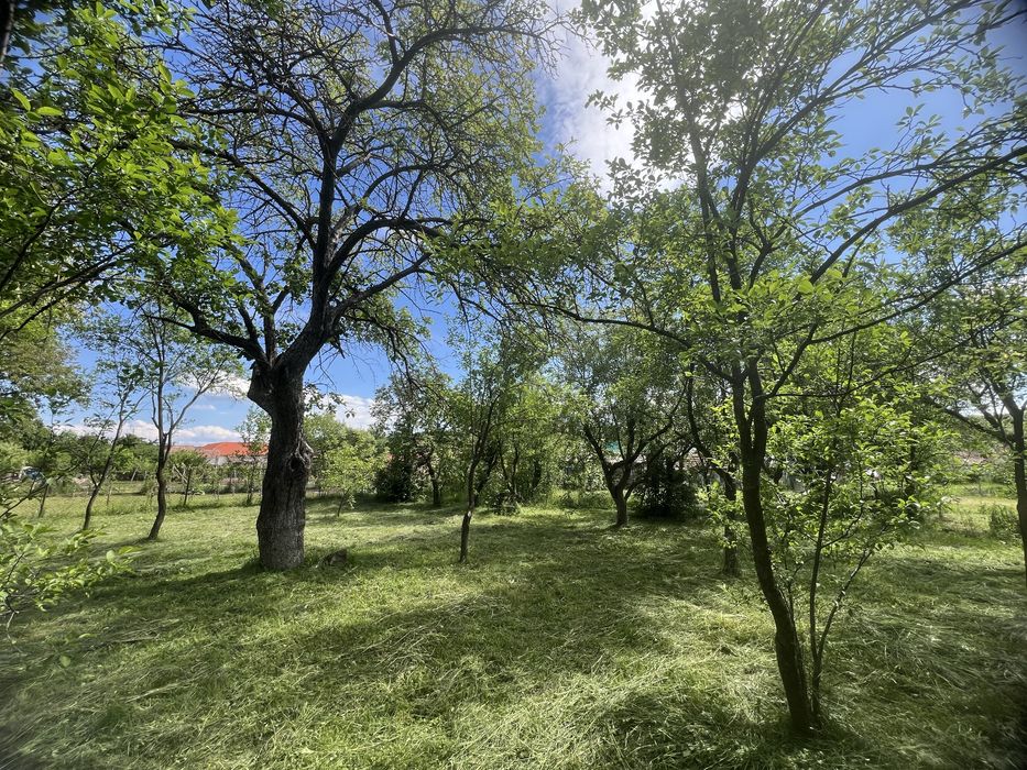 Teren 1150mp la tara, deschidere la 2 stazi