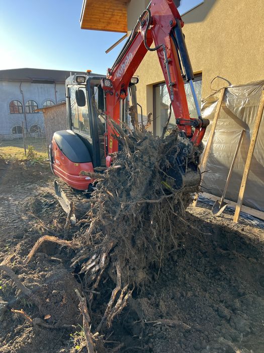 Mini-excavator 3 tone de inchiriat / duba basculabila 3.5 tone