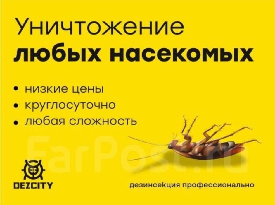 Уничтожение насекомых, клопов, тараканов Дезинфекция (клопы, тараканы)
