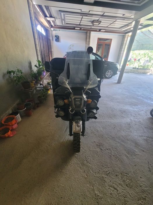 Bonvi muraveyi elektr