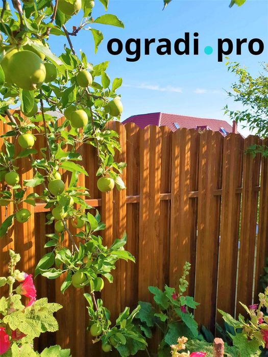 Метална ограда златен дъб-оградка