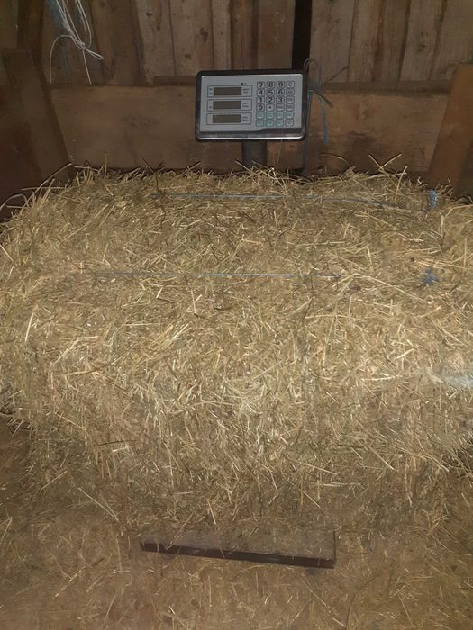 Vand baloti de lucernă