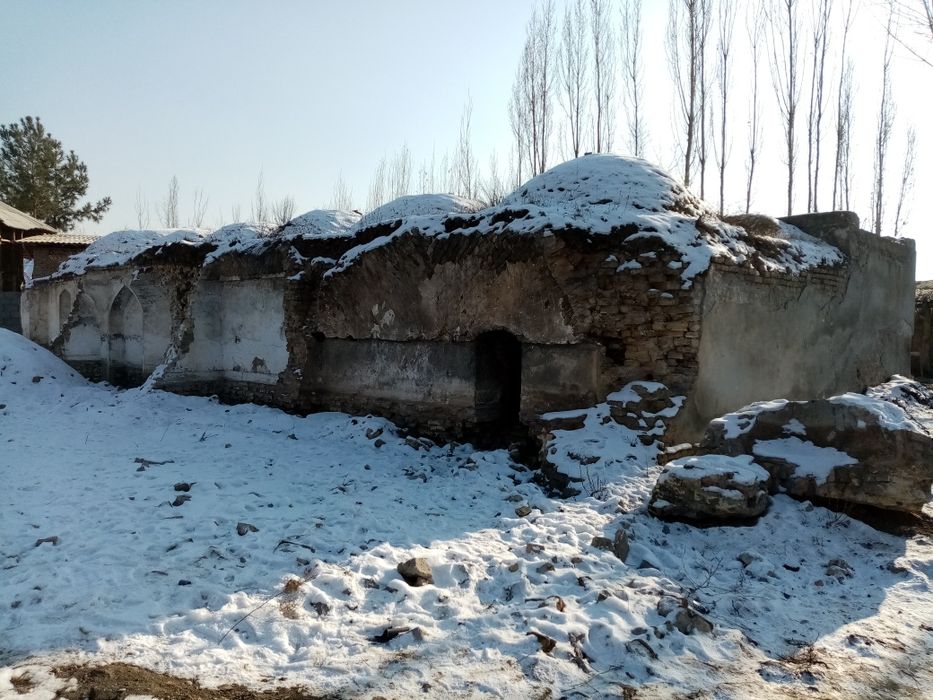 Noturar 15 sotik uchaska sotiladi