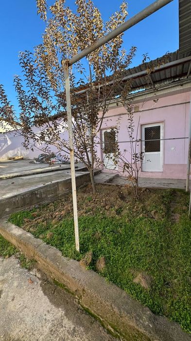 Ховли сотилади Мирзо Улугбек туман 1пилла 216 диадора корзинка бозор