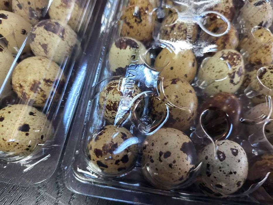 Cofraje caserole 12, 21, 24 si 30 oua prepelite pe stoc