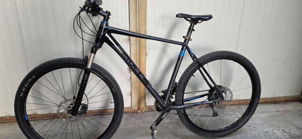 29" bulls compared 3