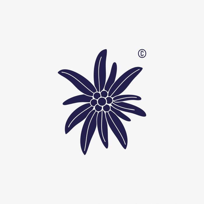 Пошив и переделка одежды, обучение