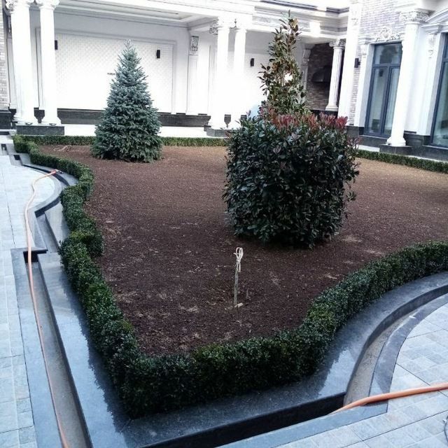 Обрезка деревьев, уборка сада, дезинфекция Садовник Богбон.