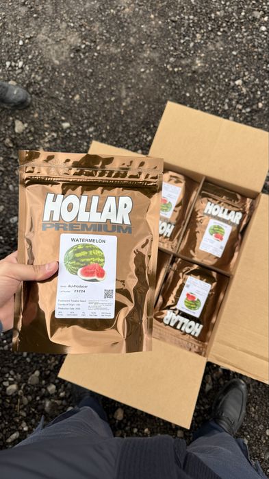 Холлор Дарбыз Ұрық